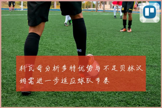 科瓦奇分析多特优势与不足贝林汉姆需进一步适应球队节奏