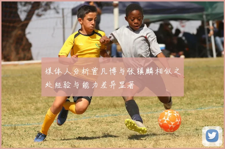 媒体人分析曾凡博与张镇麟相似之处经验与能力差异显著